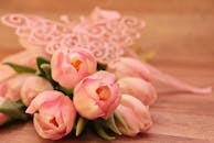 Tender Images