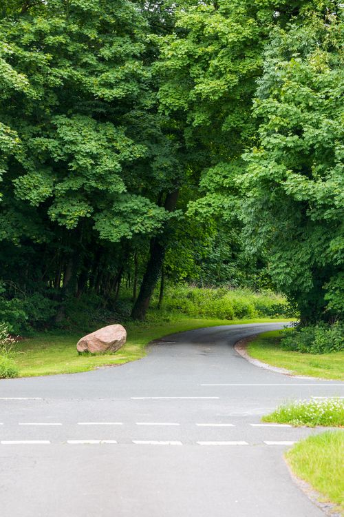 Free A winding road surrounded by dense green forest and foliage, offering a peaceful natural scene. Stock Photo