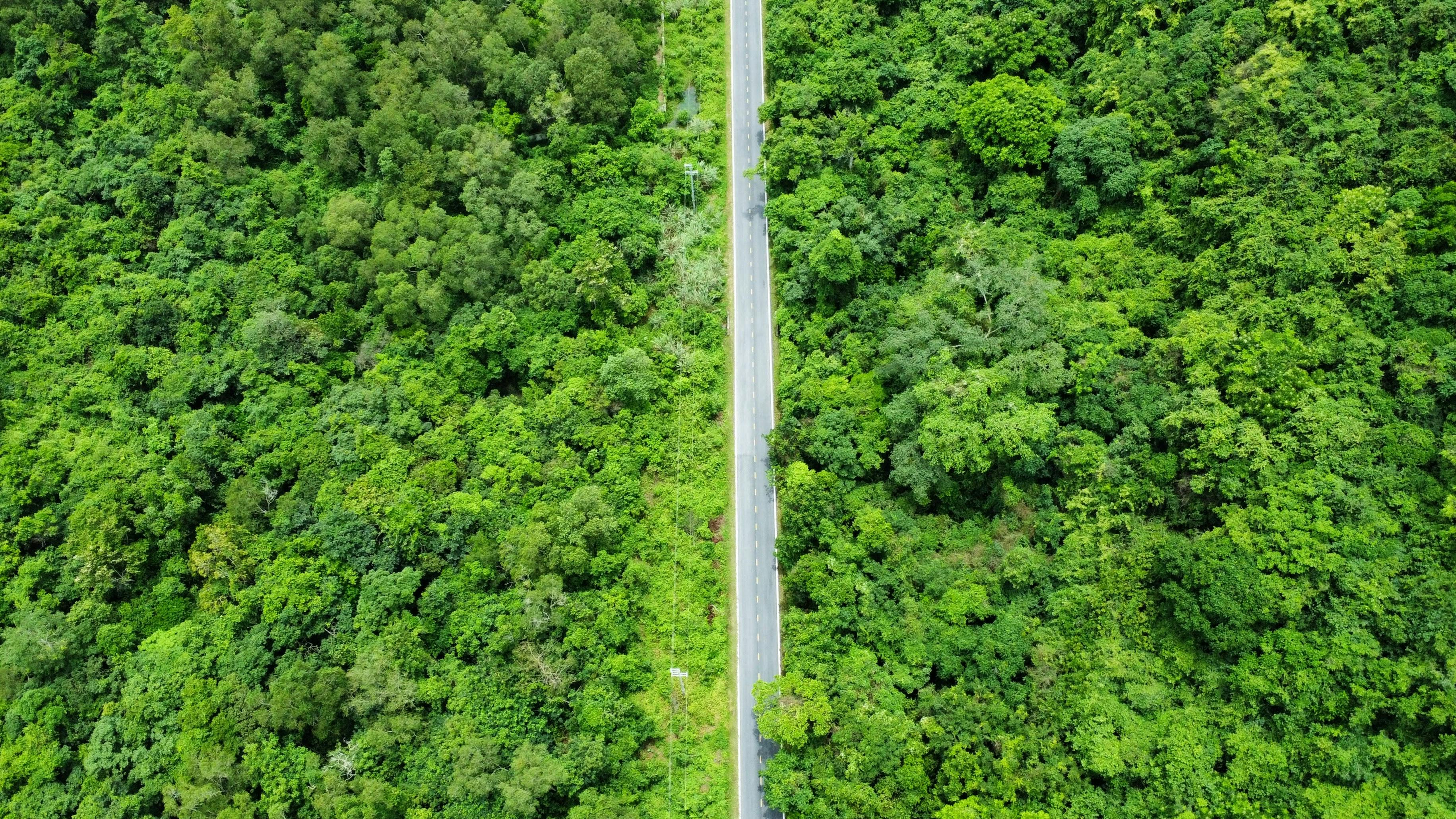 Corporate Governance: The “G” in ESG — Photo by Federico P on Pexels