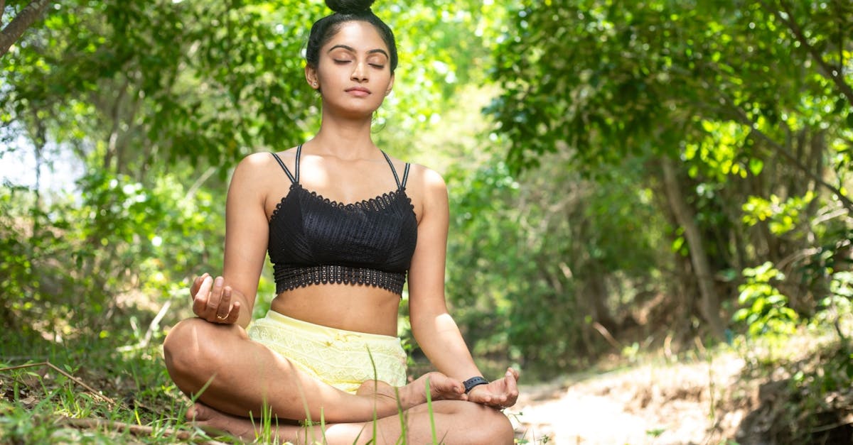 The Resonance of Hands 1 image text