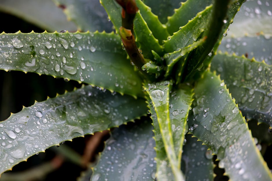 Renewable Materials in Design: Sustainable Choices for the Future