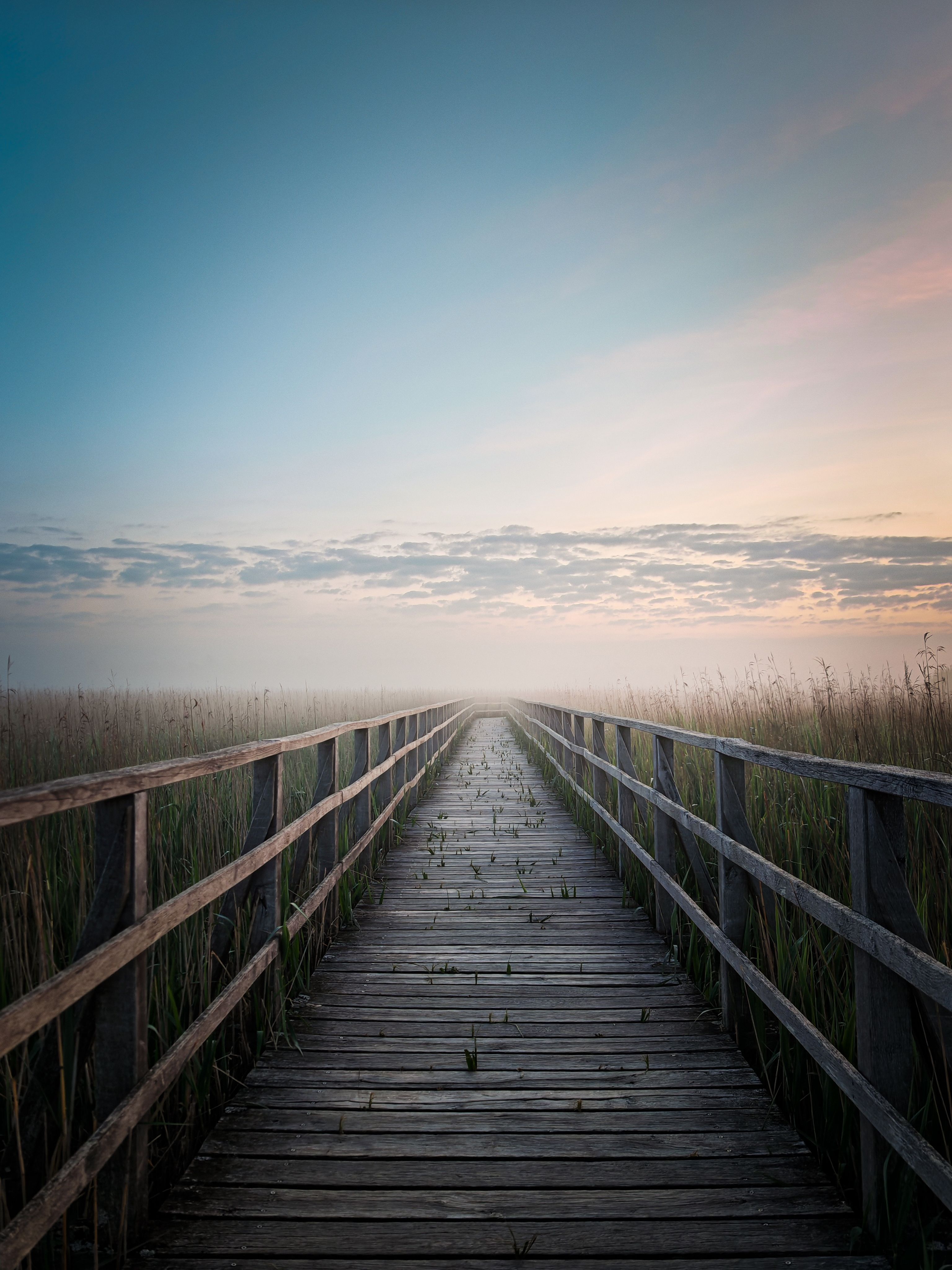 Serene Wooden Pathway Leading to Horizon at Dawn · Free Stock Photo