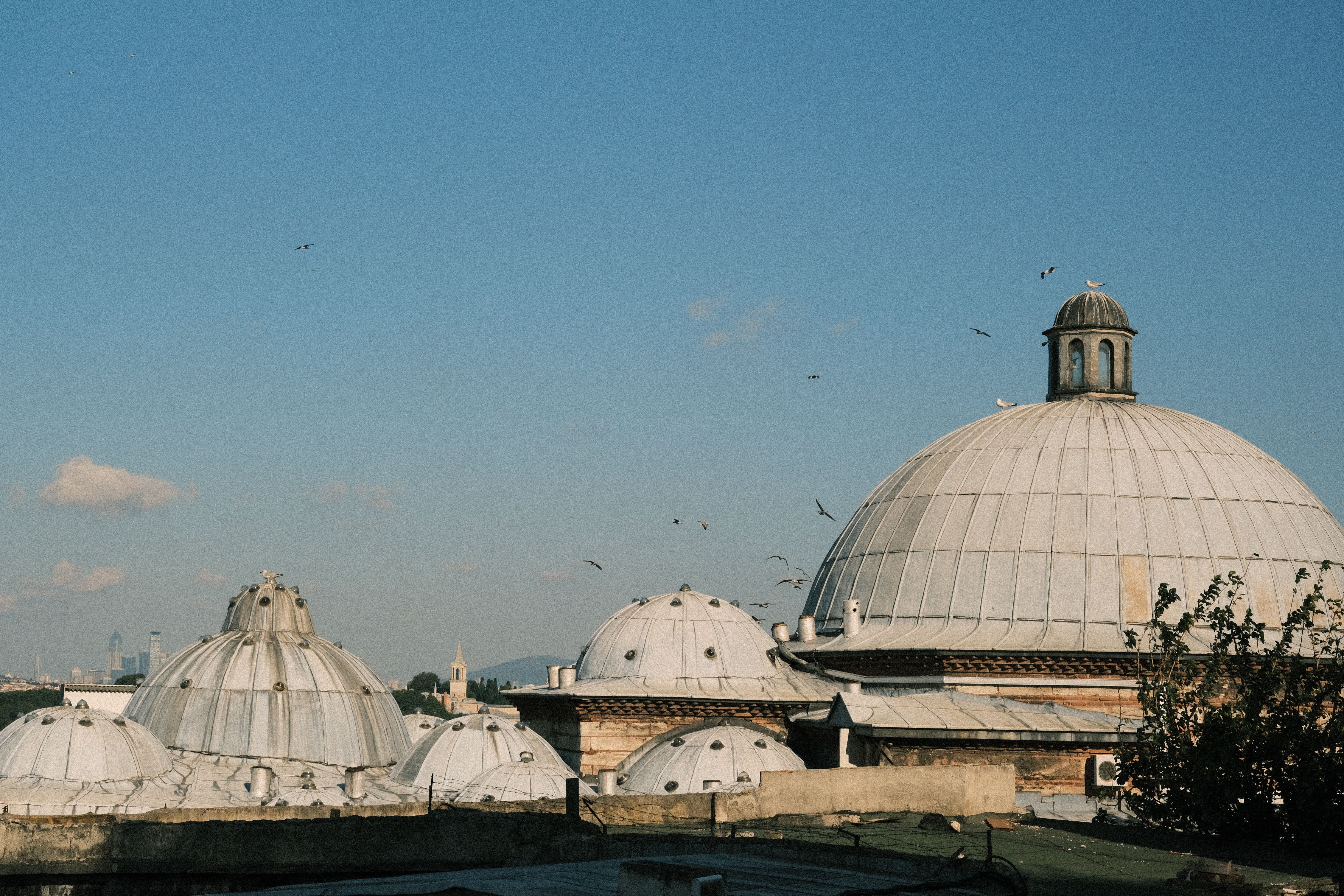 Domed Rooftops of Historic Istanbul Buildings · Free Stock Photo