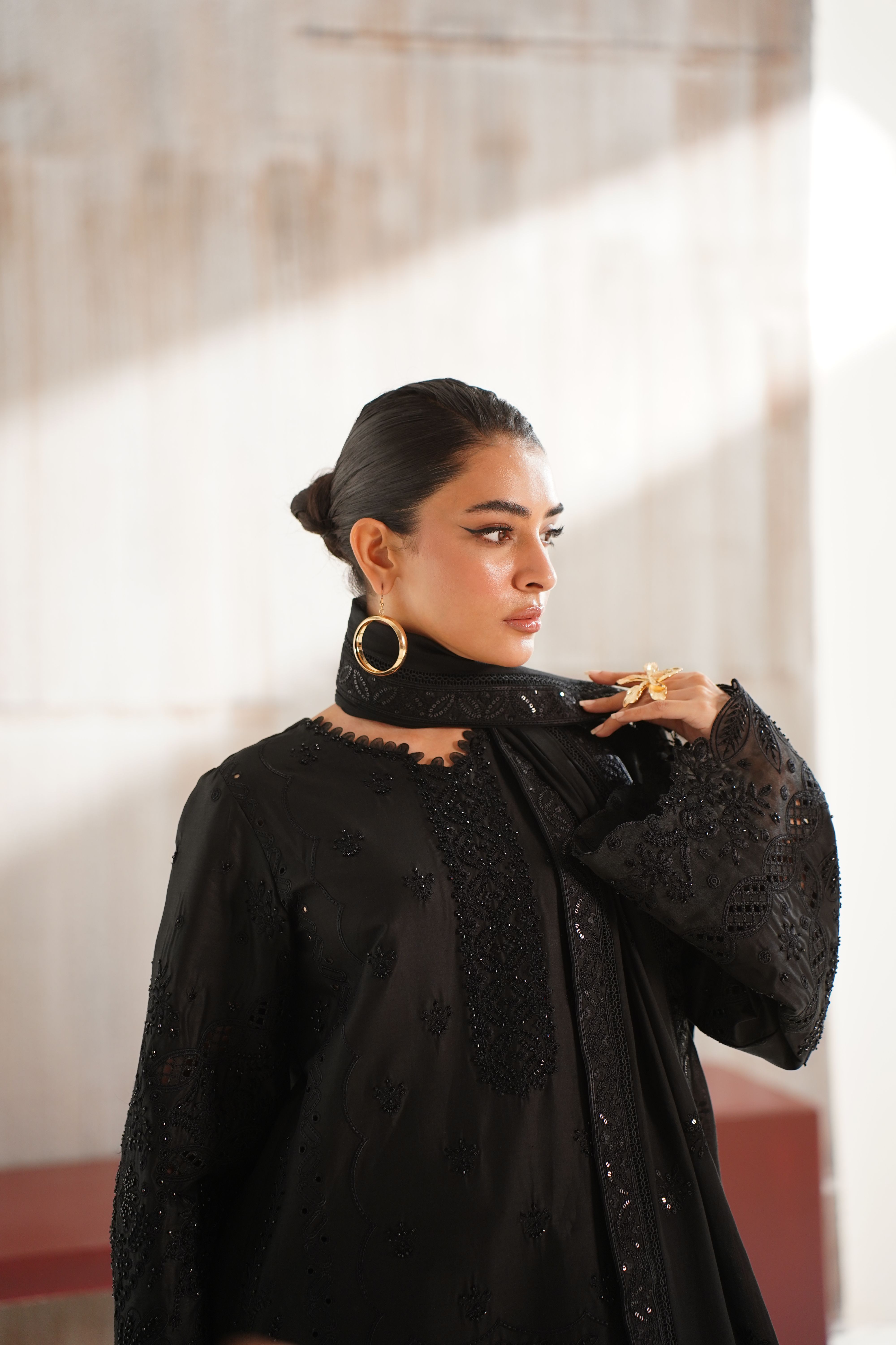 Elegant Portrait of Woman in Black Embroidered Dress · Free Stock Photo