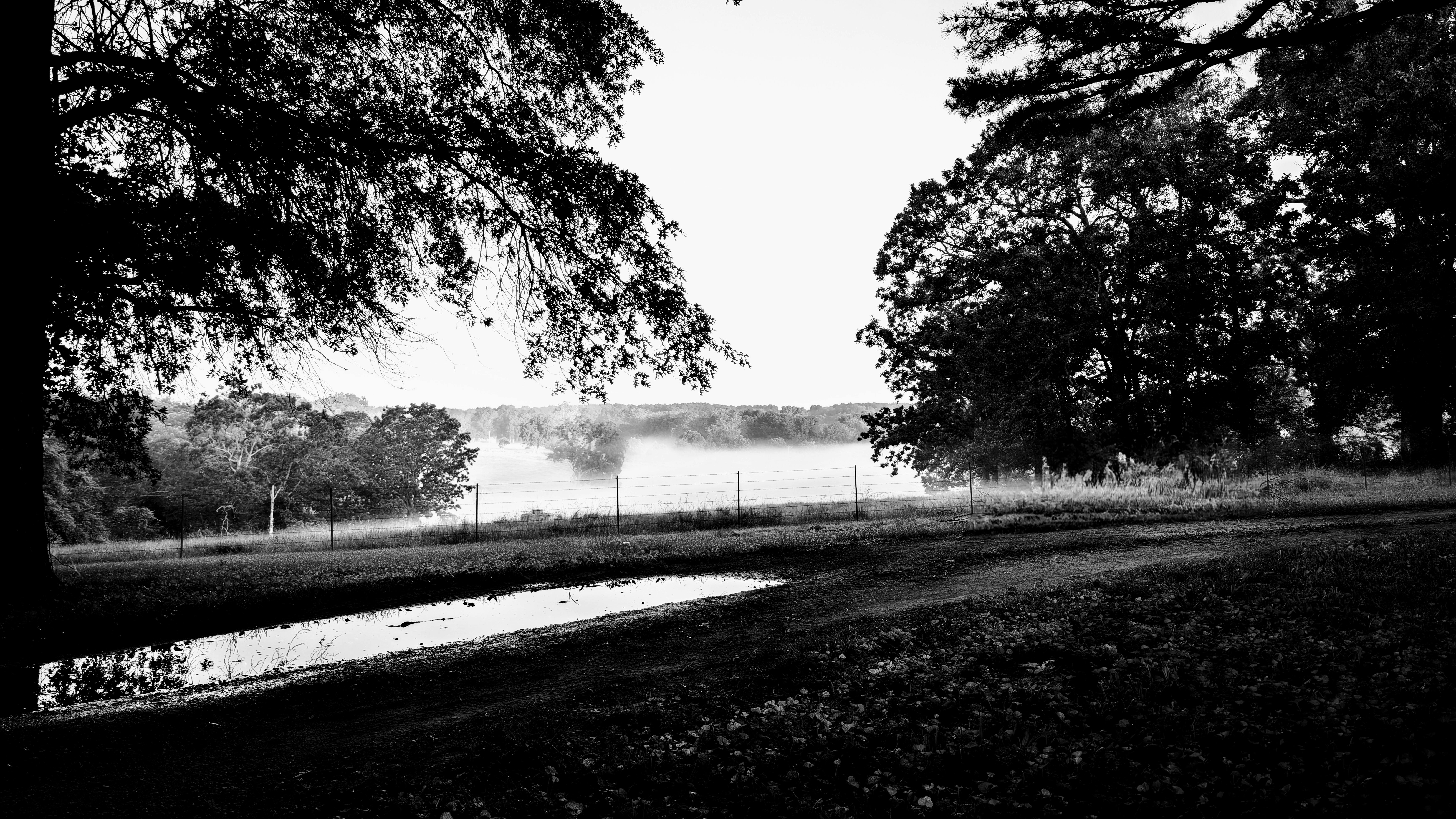 Ethical Beauty Brands on the Rise: Embracing Sustainability and Wellness