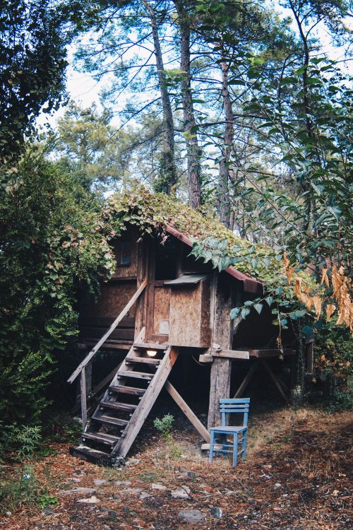 Free Charming rustic treehouse surrounded by trees with a wooden ladder and blue chair. Stock Photo