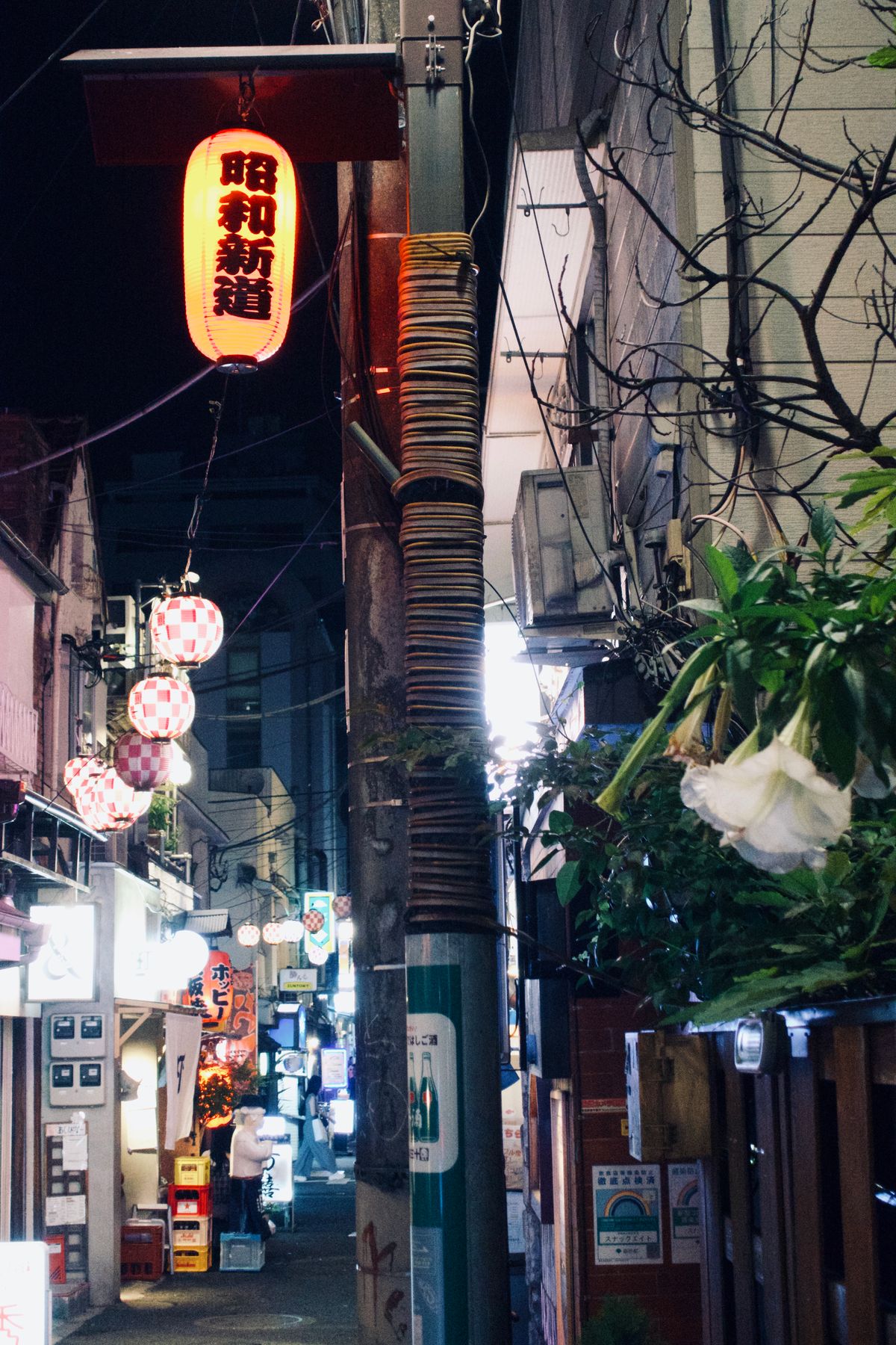 夜の日本の路地裏と提灯のイメージ