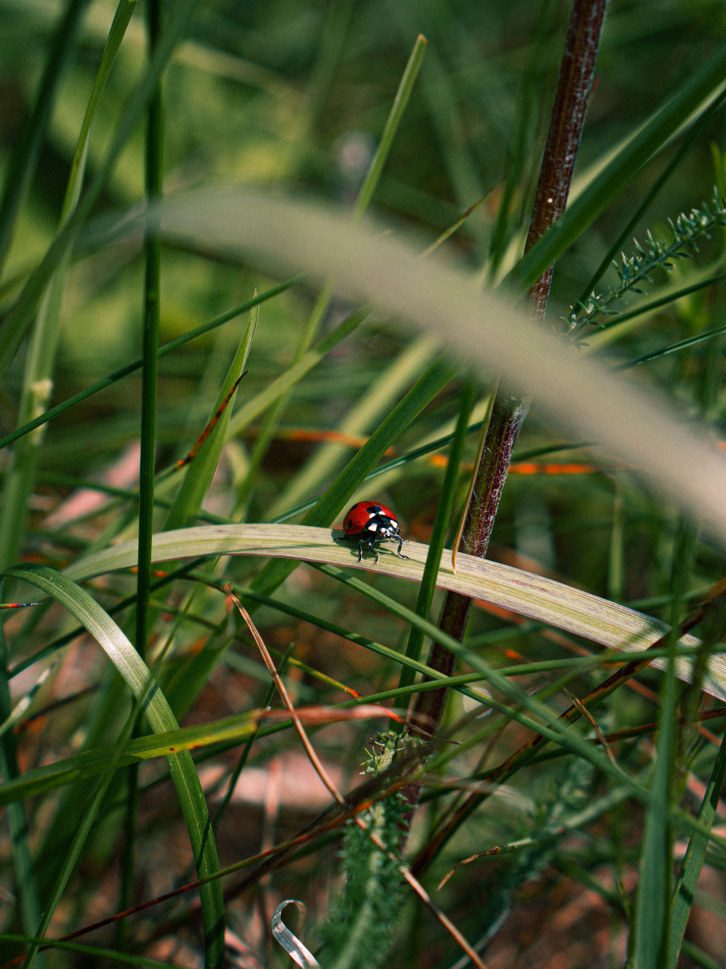 Tiny Ecosystem Photos Download The Best Free Tiny Ecosystem Stock