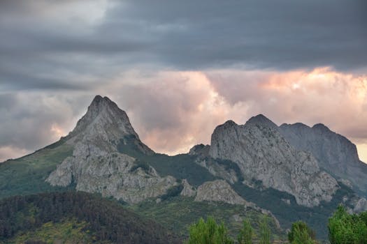 Pico gilbo