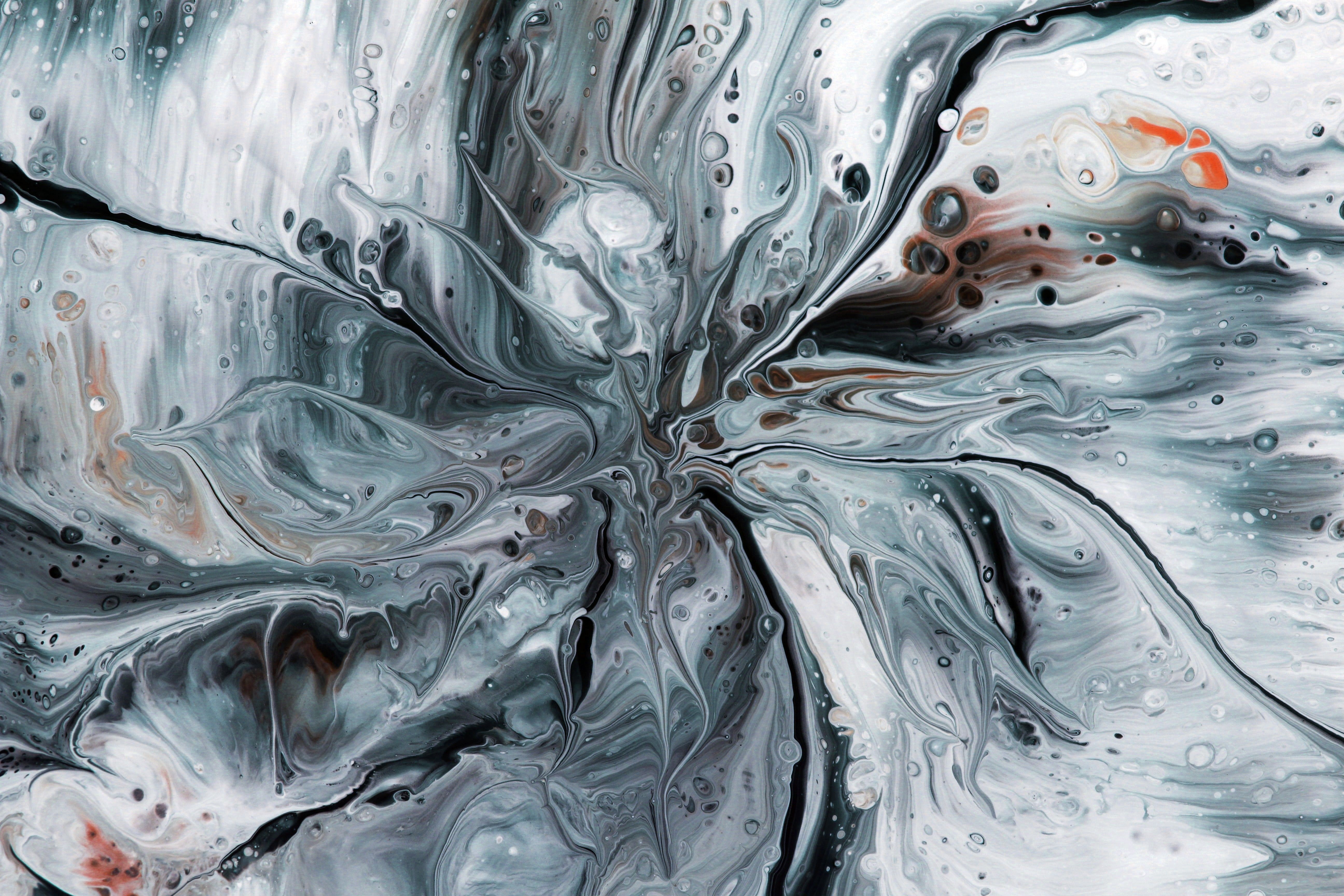 mental health neurodiversity, mental health and neuroscience, neurodiversity and mental illness, neurodivergence and mental h