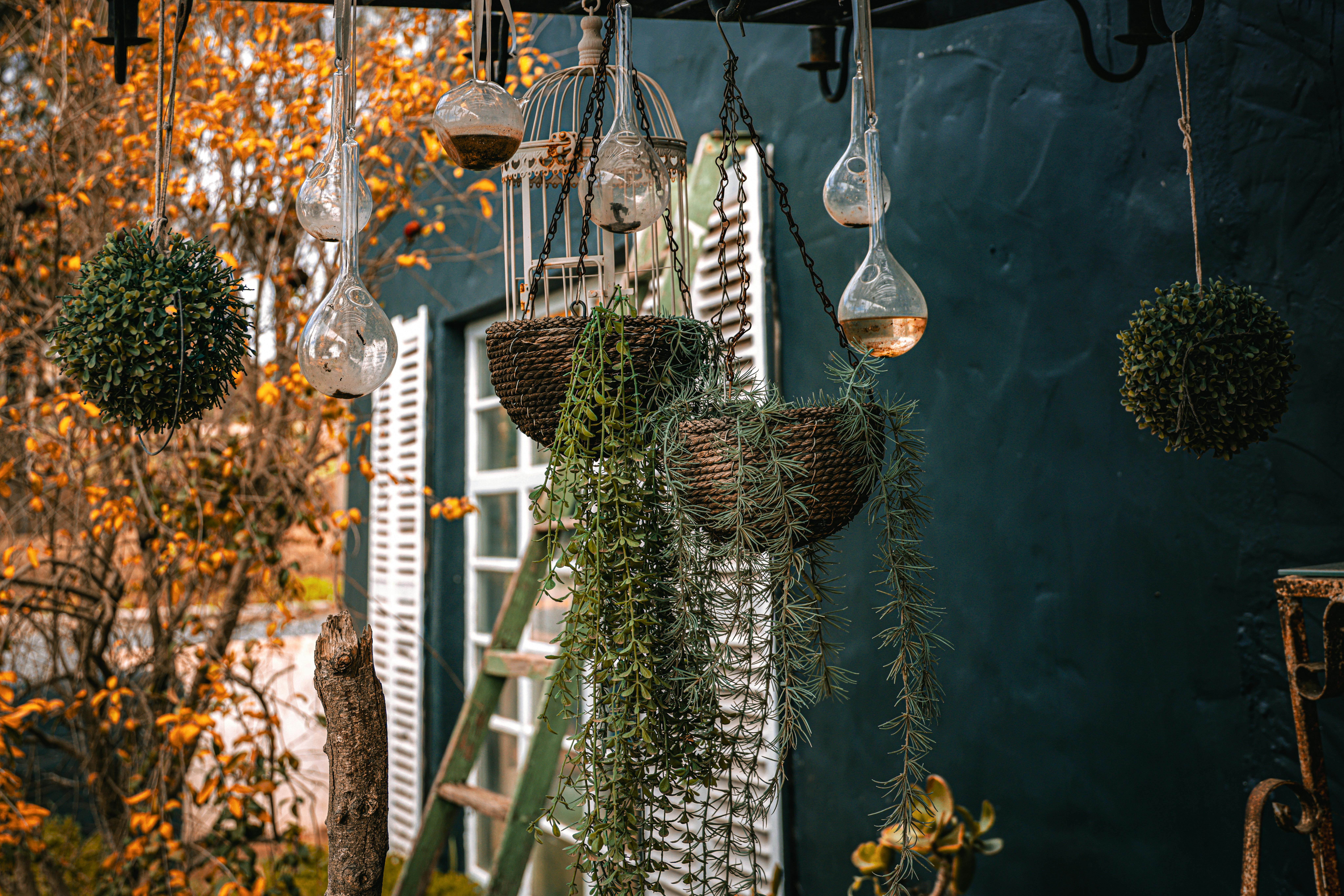 gardening, gardening leave, gardening tools, gardening gloves, gardening leave meaning, gardening hoe, gardening shoes, garde