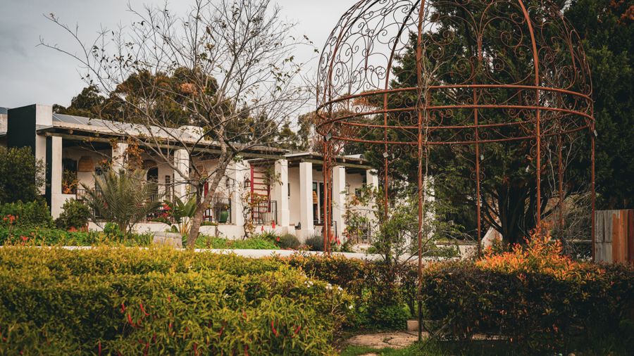 Planting a Butterfly Garden That Actually Works