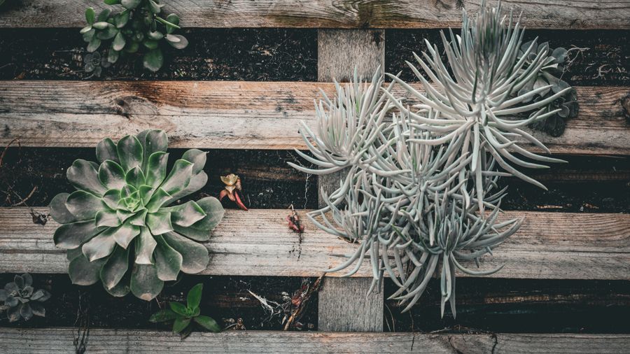 How to Choose the Right Contractor for Your Home Improvement
