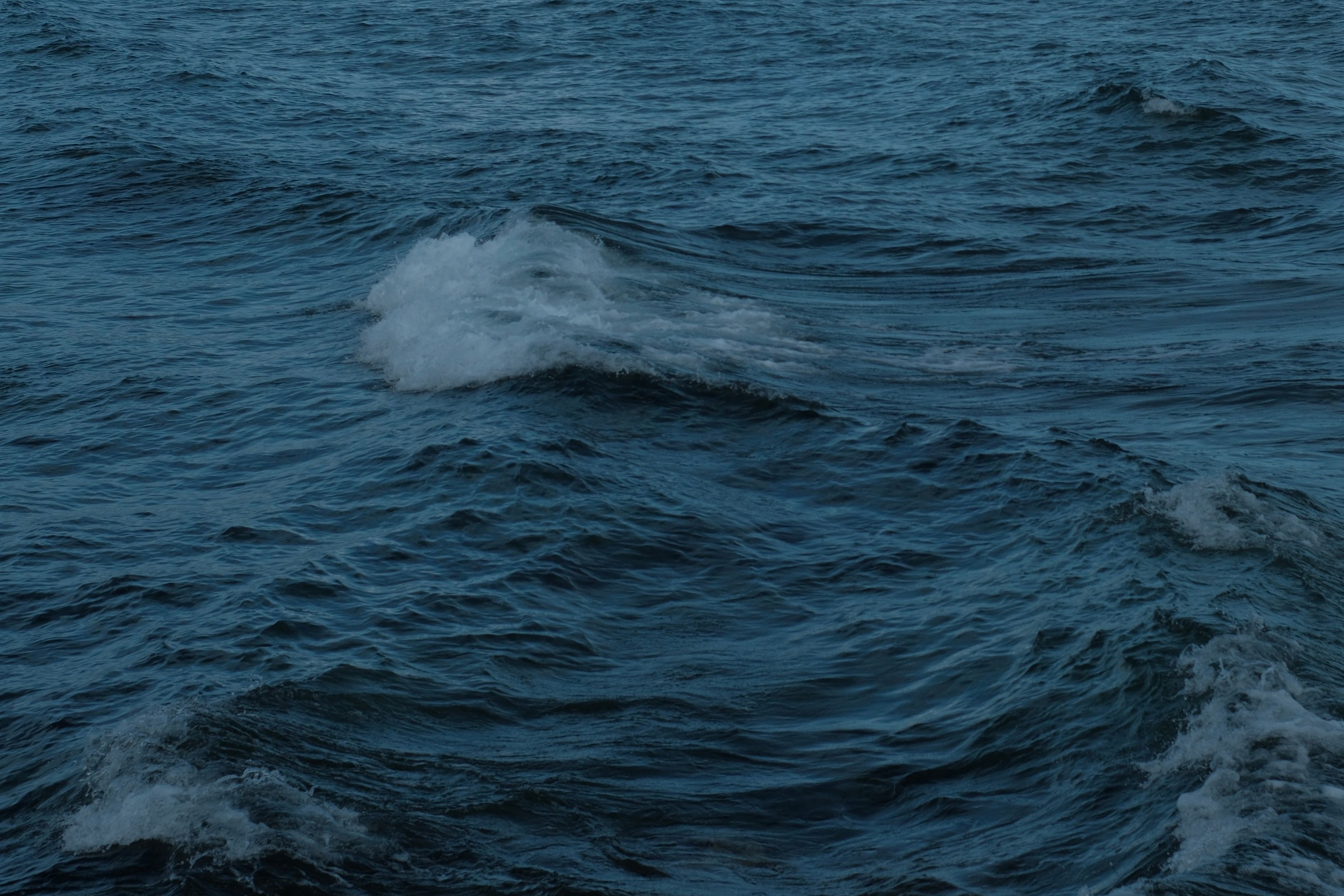 Dynamic Ocean Waves Crashing at Sea · Free Stock Photo