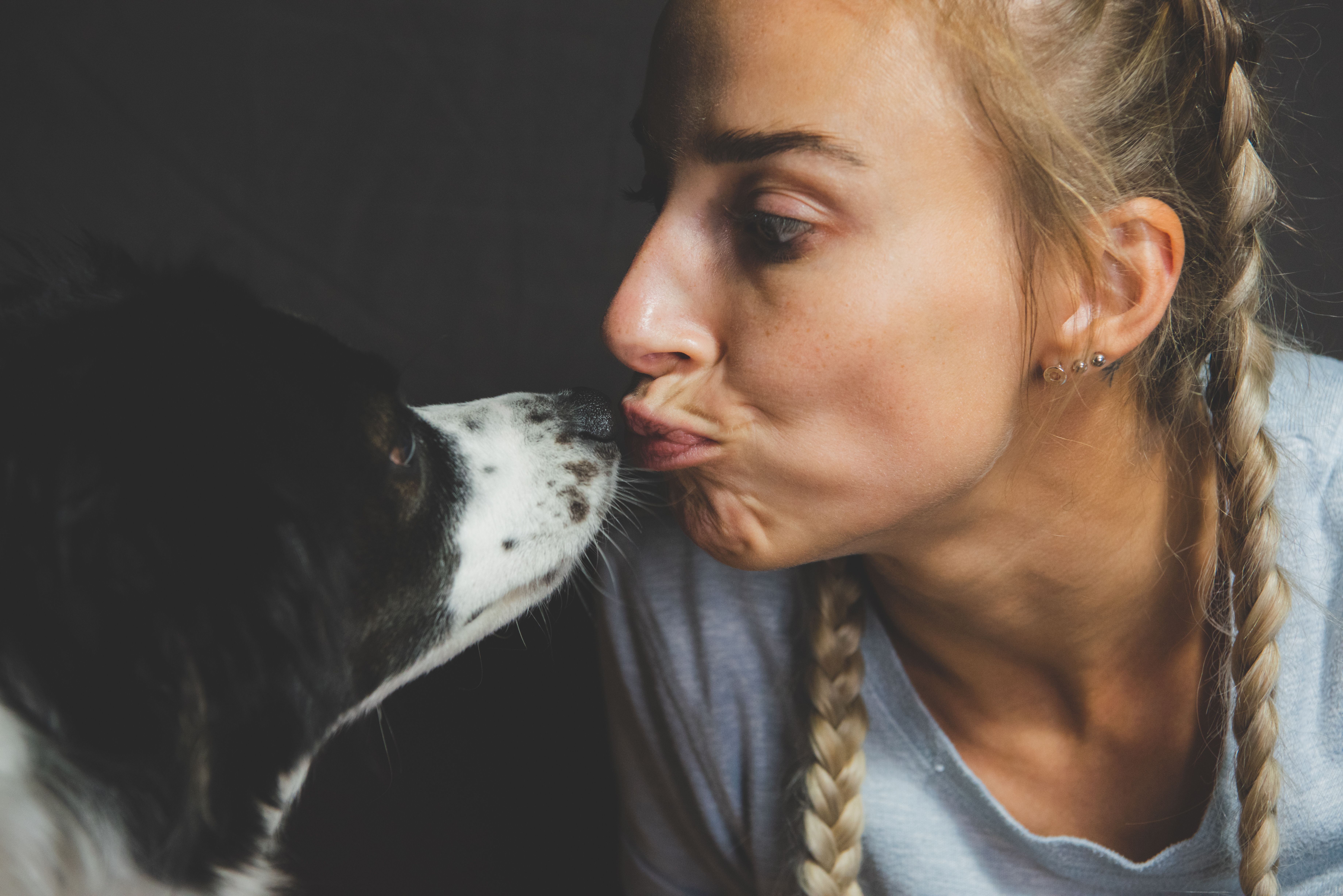 pet technology contact — Photo by Mykhailo Petrenko on Pexels