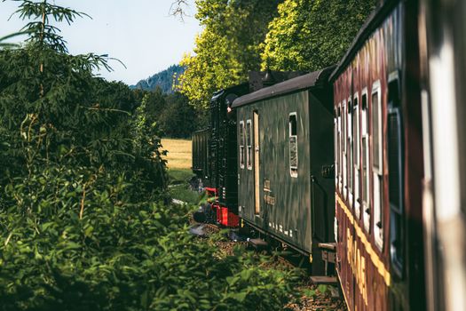 A vintage steam train travels through scenic countryside in Zittau, Germany, under a clear sky.