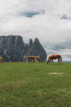 Free stock photo of activity, adventure, alpine
