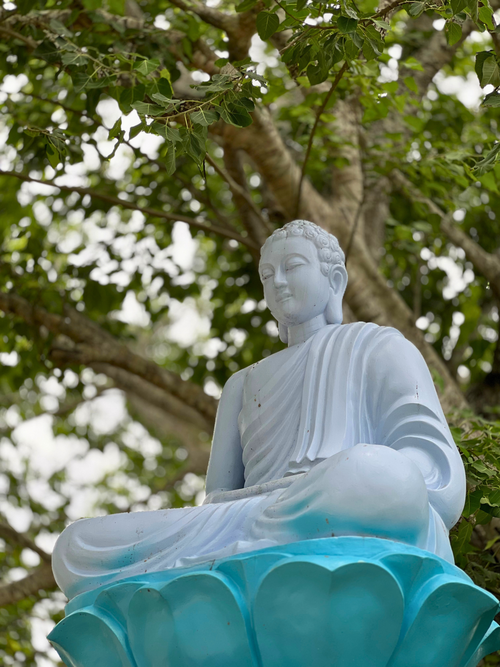 Free Peaceful white Buddha statue in a tranquil outdoor setting surrounded by lush green trees. Stock Photo