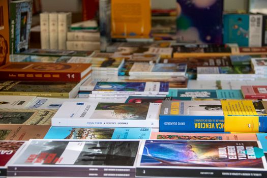 An assorted collection of books arranged on a table in Madrid, showcasing diverse genres and covers.