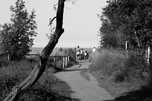 A family enjoying a bike ride on a tree-lined path near the coast.
