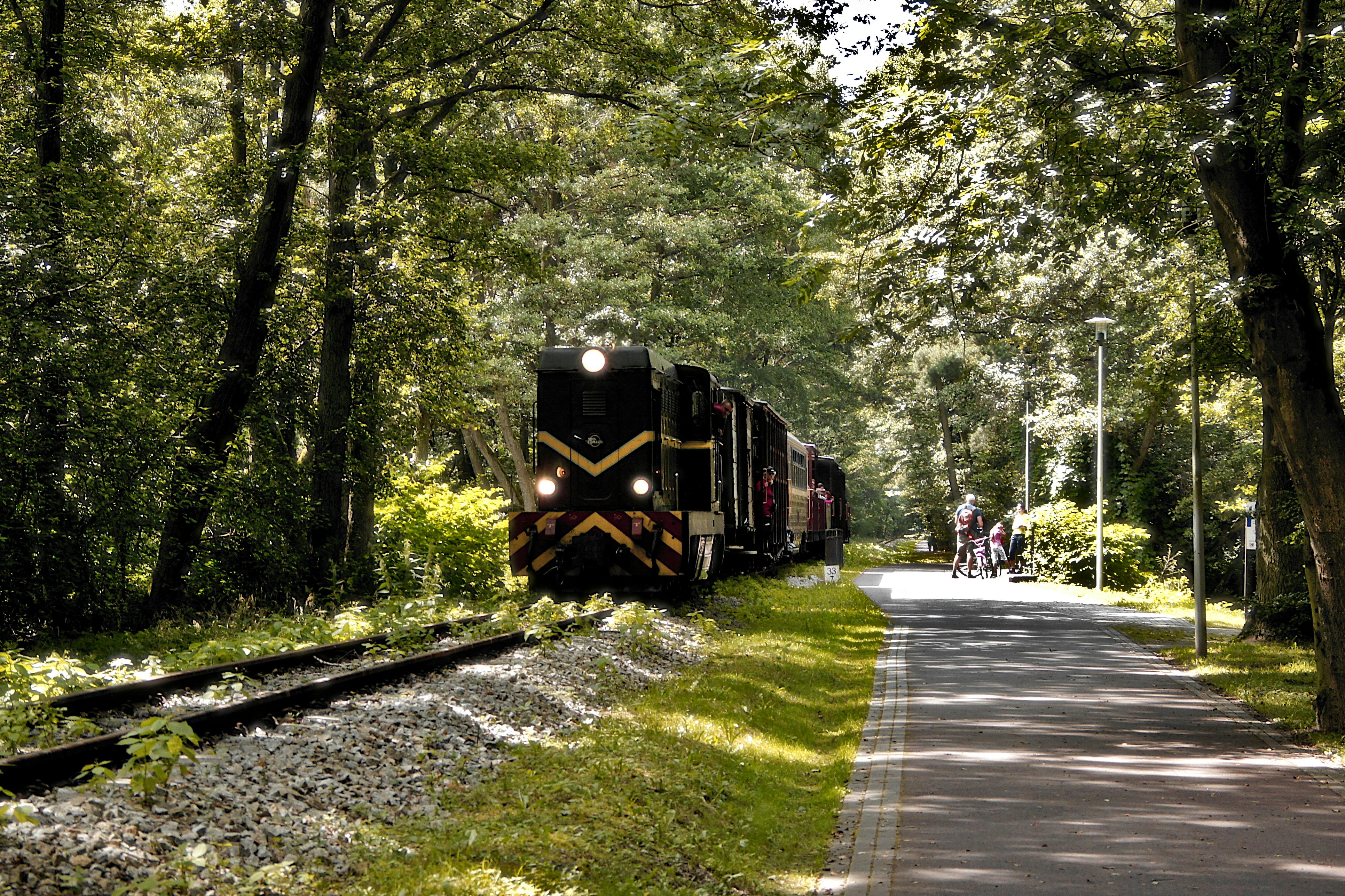 5 Essential Tips for a Memorable Walk or Cycle on the Scenic Bristol Bath Railway Path