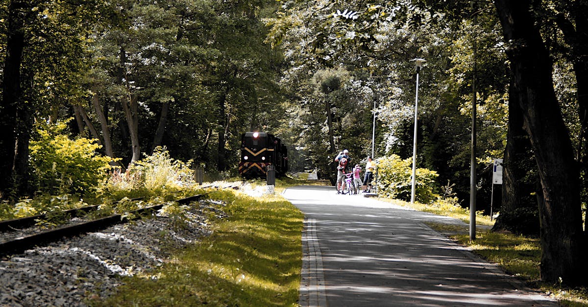 地段 都更 軌道三利多並進 植物園生活圈成自住與置產熱點