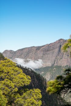 Mountain landscape with lush greenery and clear blue sky in La Palma, Spain.