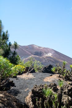Explore the striking volcanic terrain of La Palma, adorned with lush vegetation and dramatic peaks.