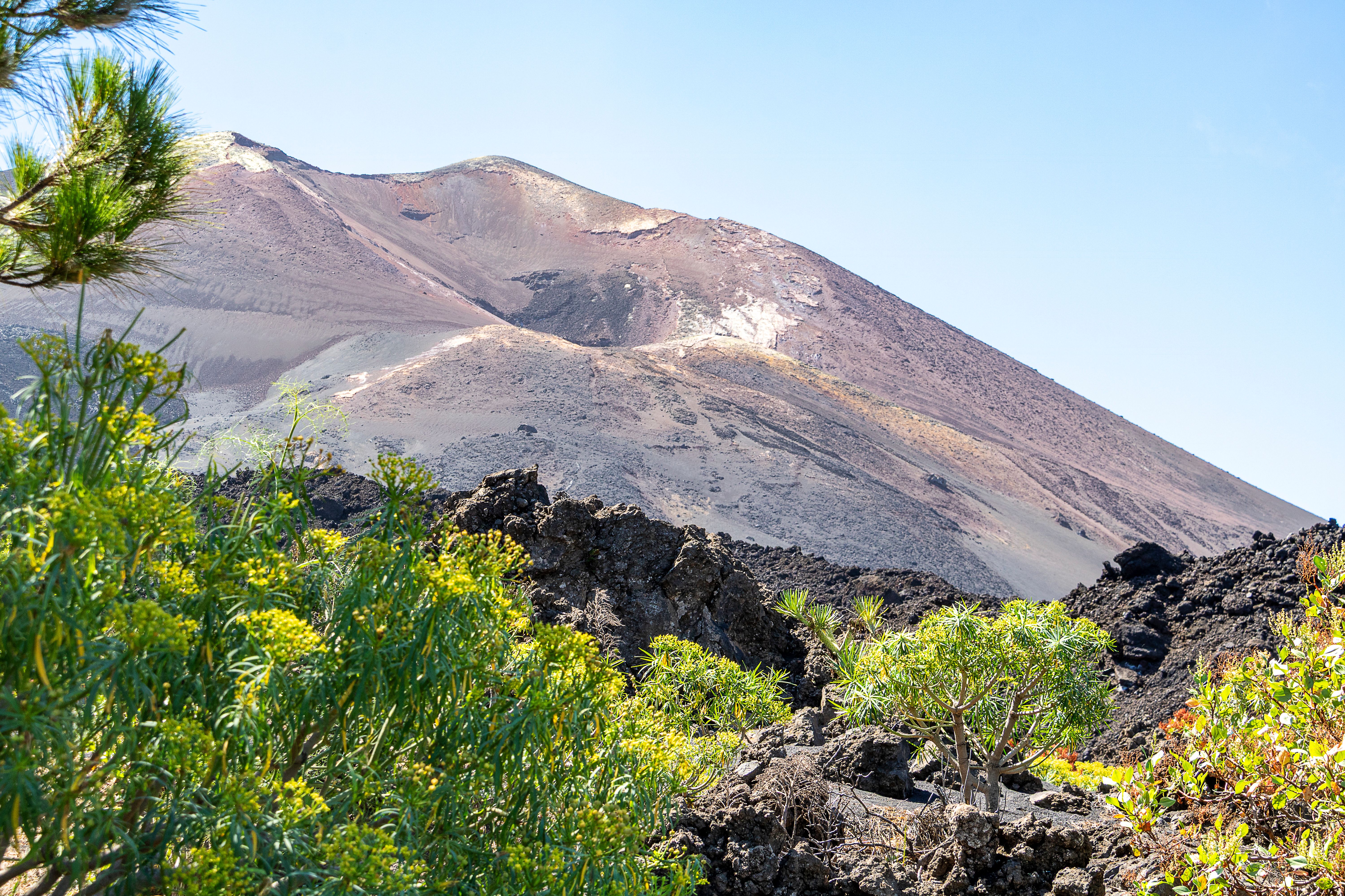 la palma