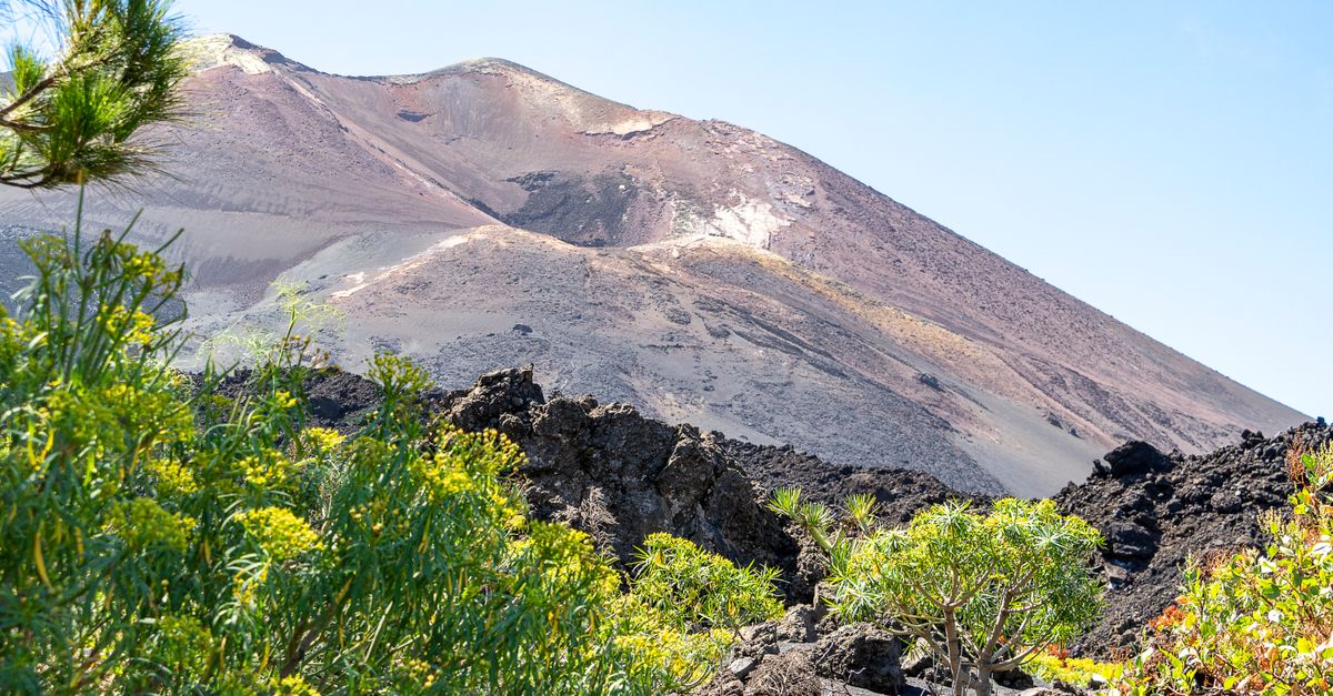 la palma