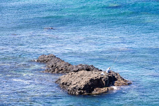 A serene scene of a fisherman casting a line from a rocky outcrop in La Palma's coastal waters.
