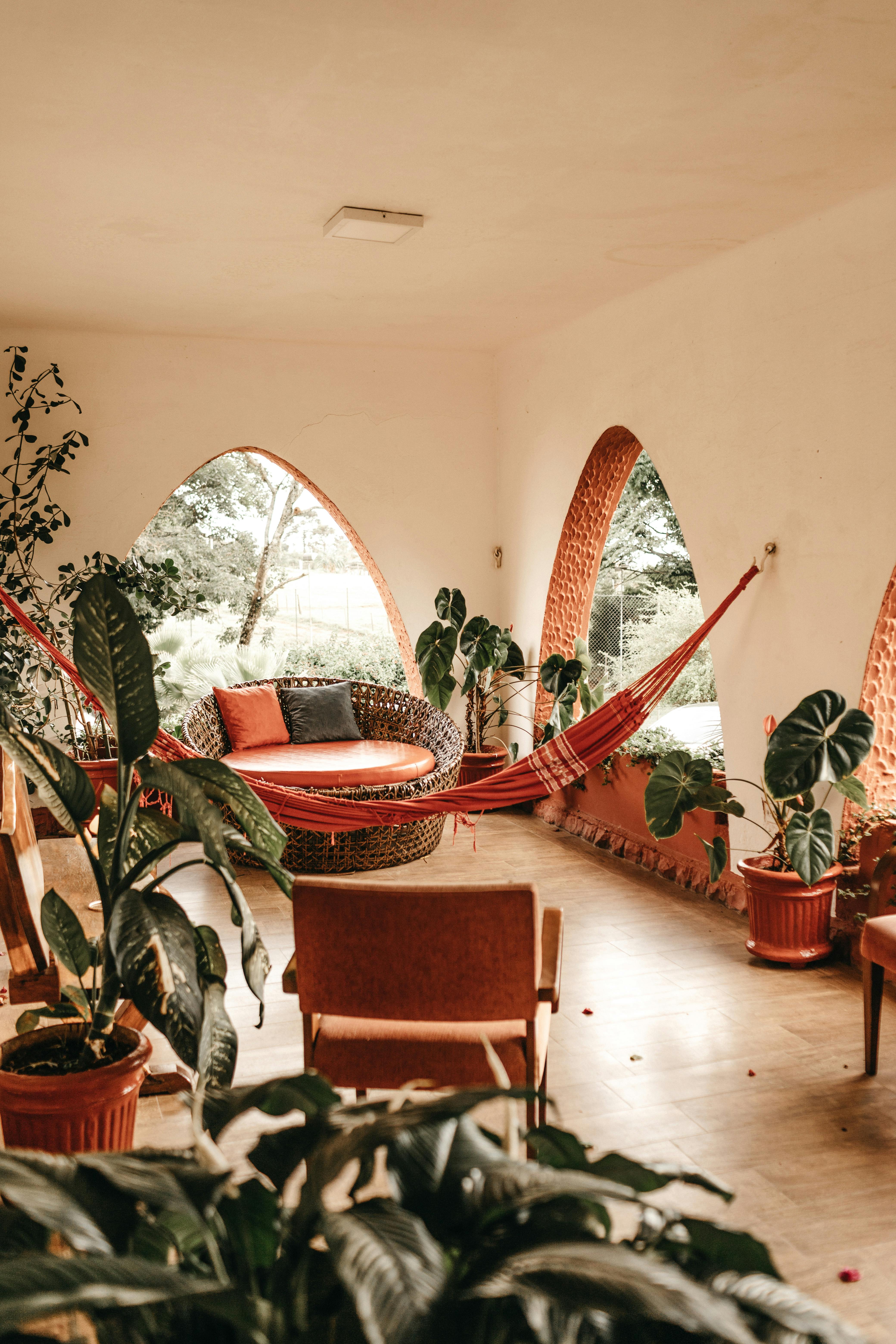 red and beige hammock