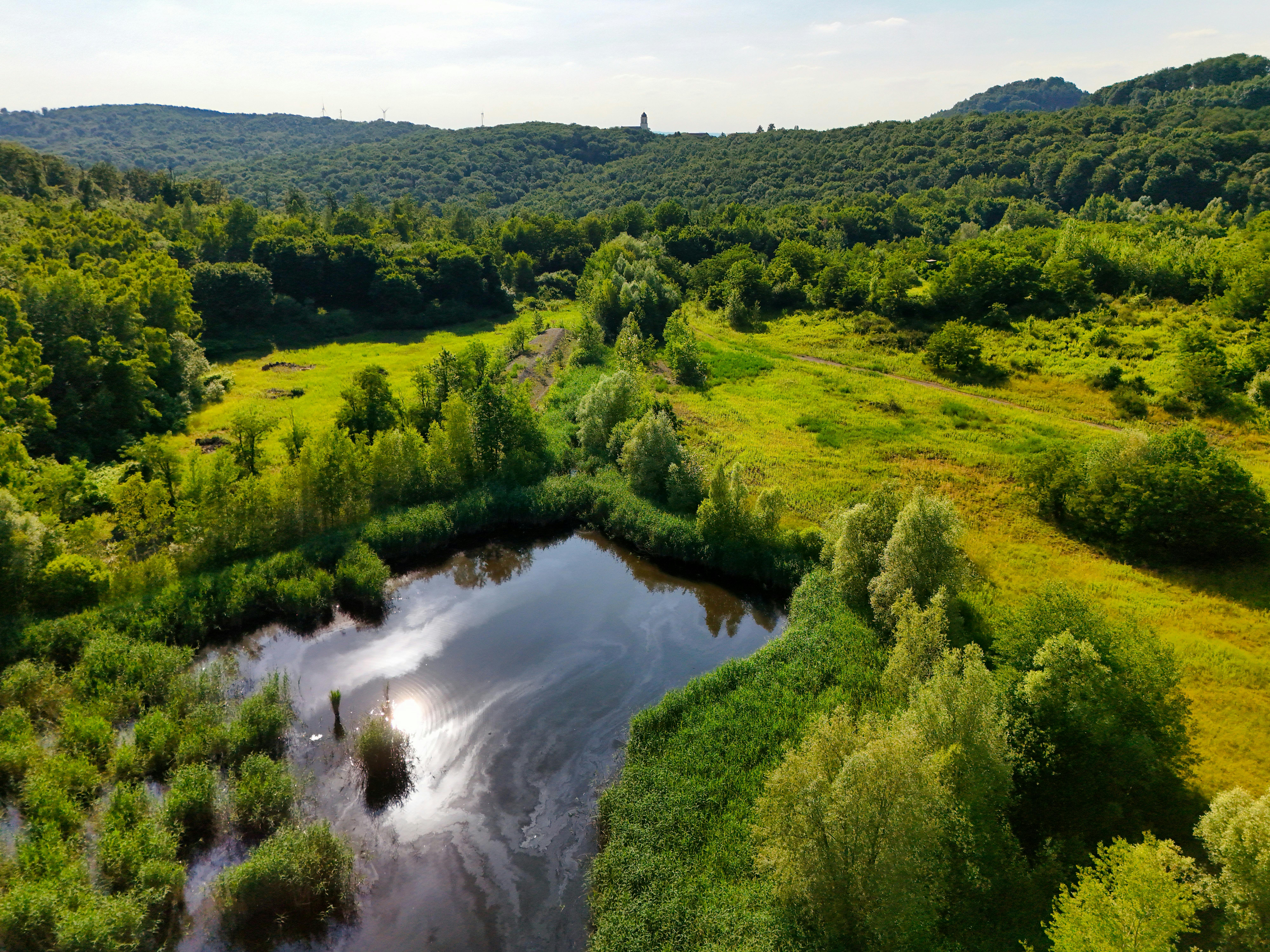 Nature-Based Solutions: How restoring ecosystems can fight climate change and protect communities — Photo by Volker Braun on 
