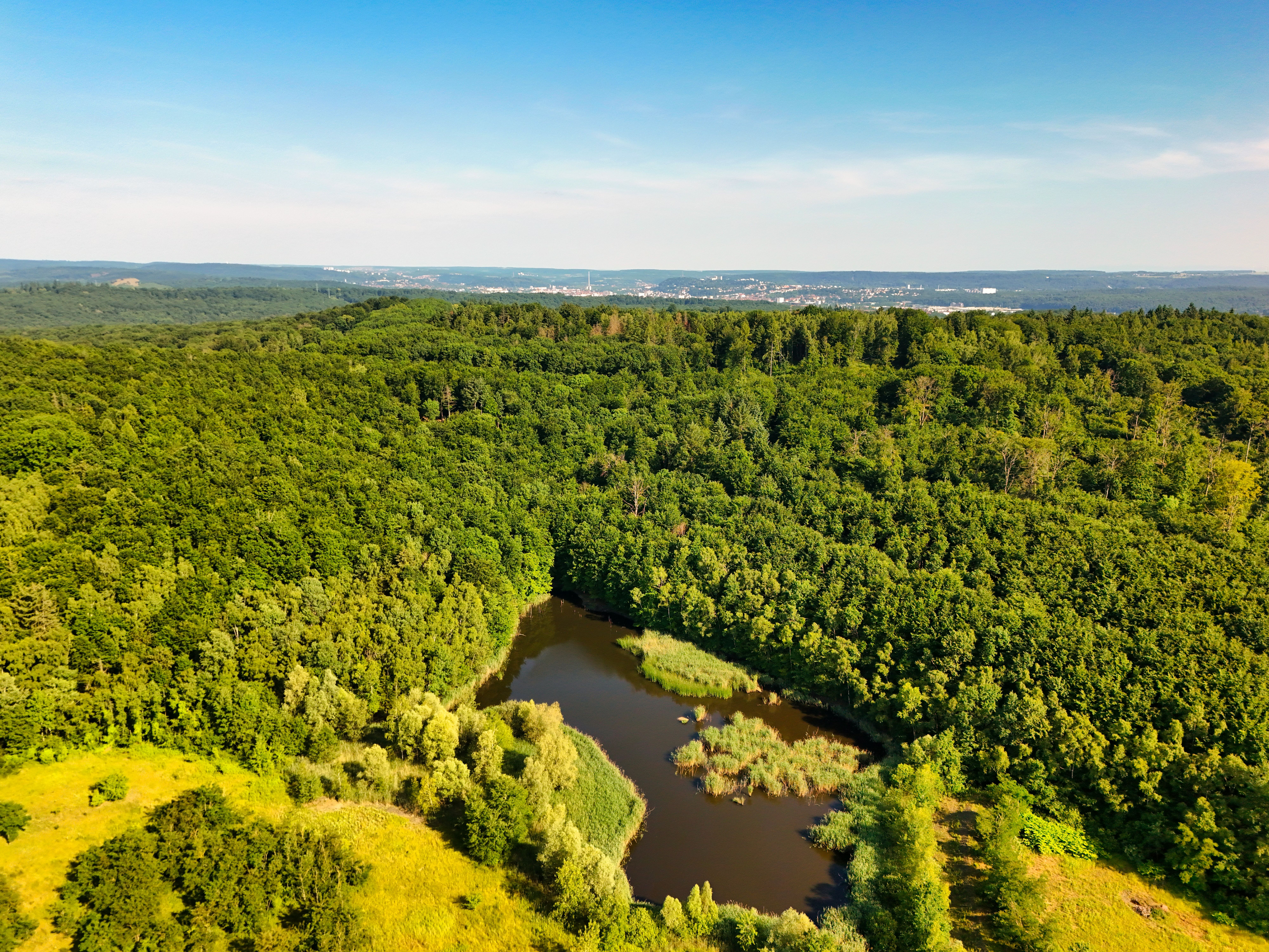 Natürliche Landschaft mit Biodiversität