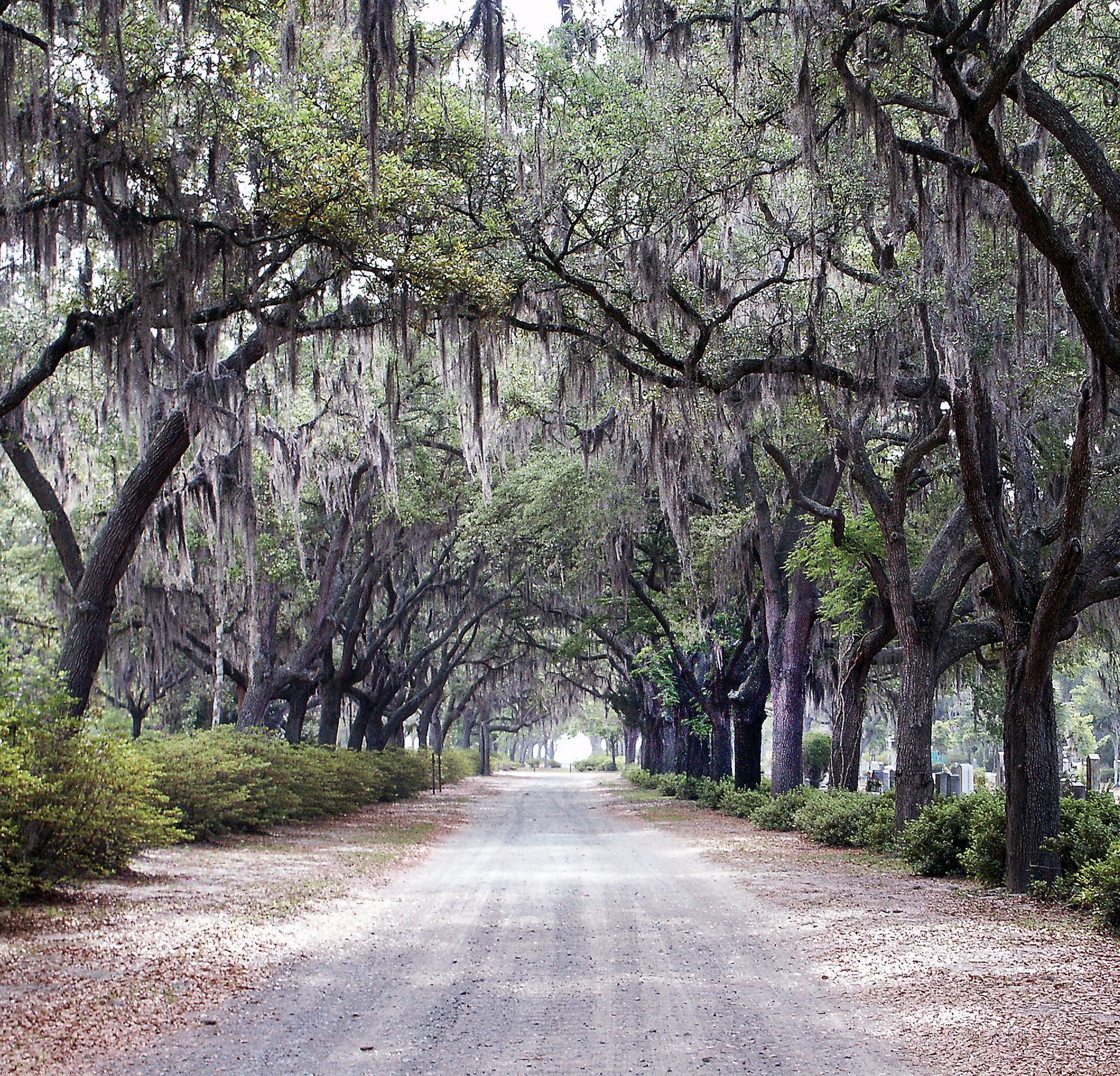 Bonaventure Cemetery, Savannah