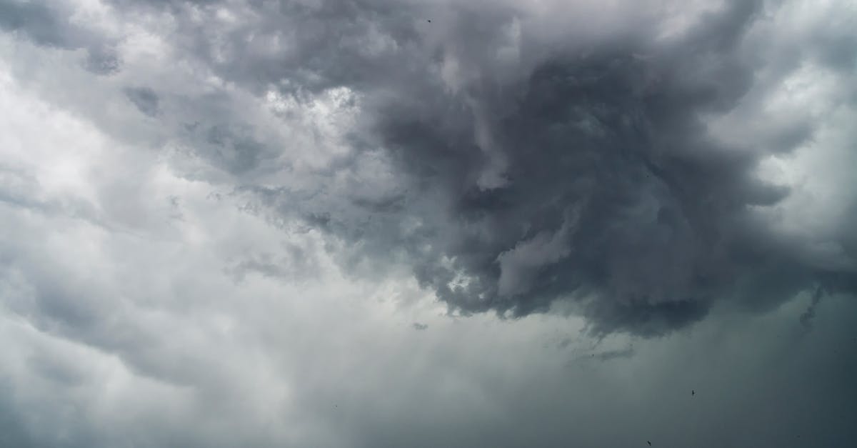 今炎熱飆36度高溫 午後記得防範局部雷陣雨