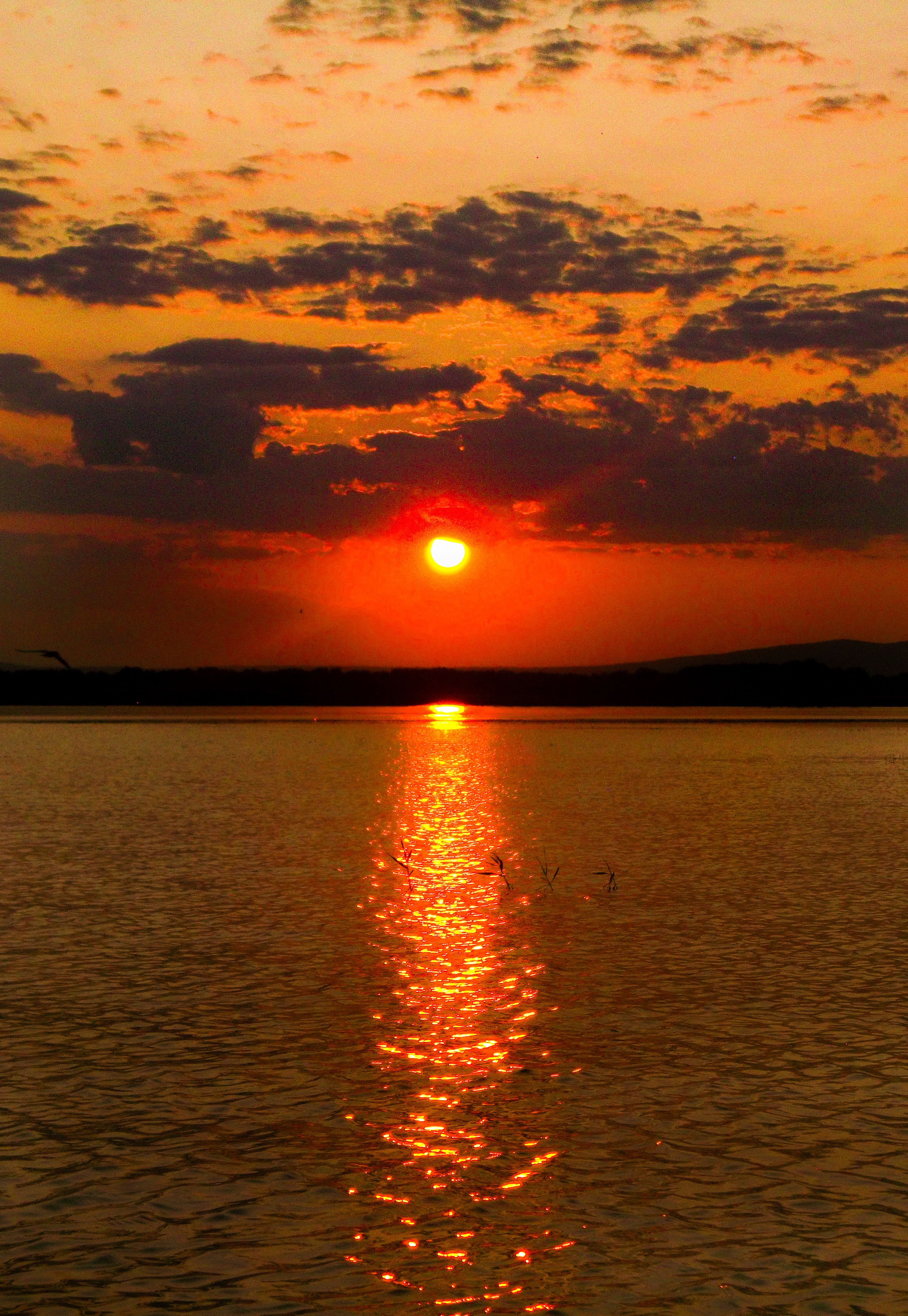 Vibrant Sunset Over Tranquil Lake Waterscape · Free Stock Photo