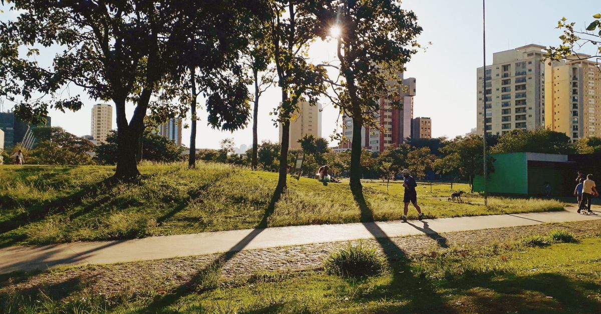 A sunny urban park with shadows from trees and high-rise buildings in the background.