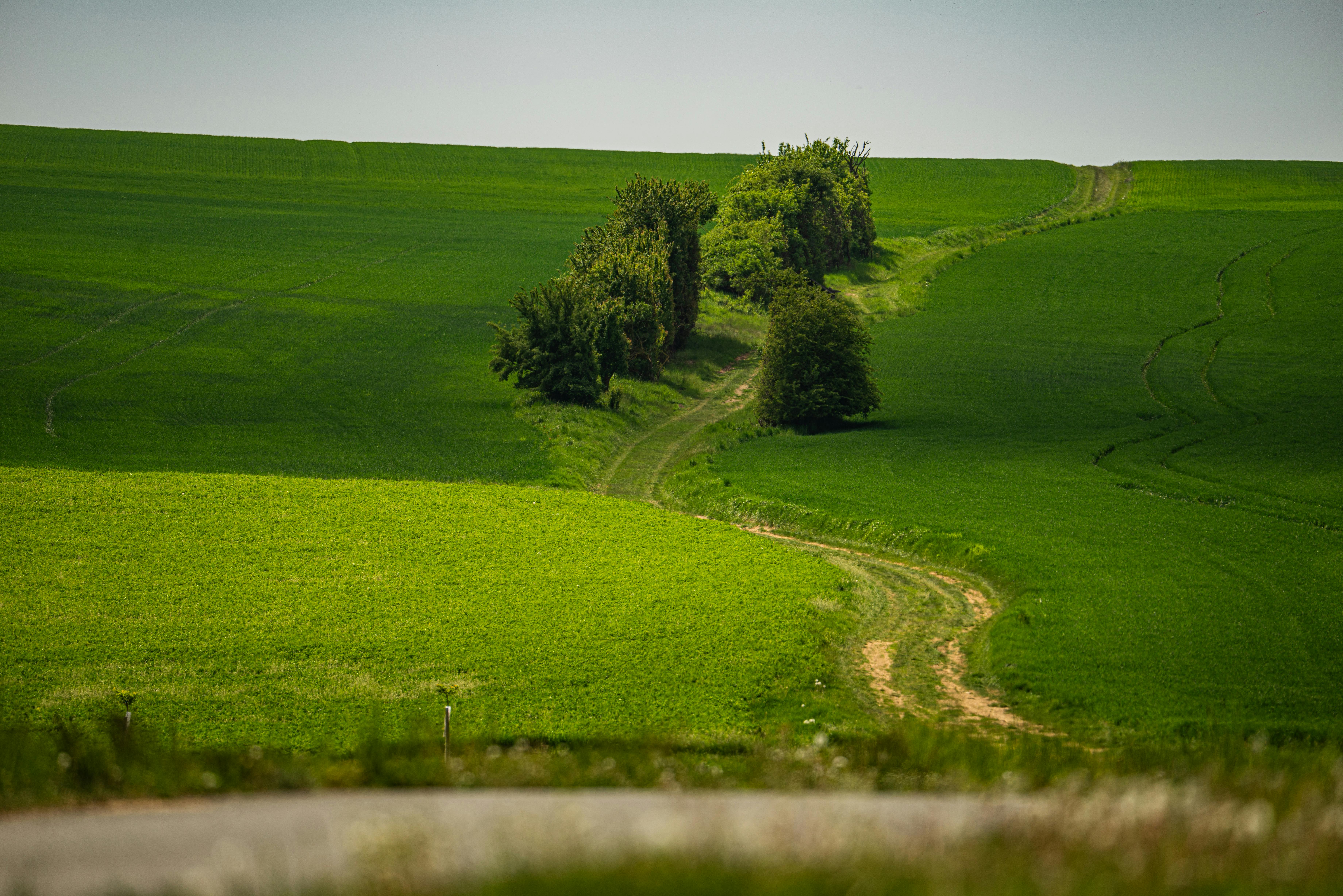 The green mile: charting the bumpy road to sustainable urban mobility — Photo by Jiří Dočkal on Pexels