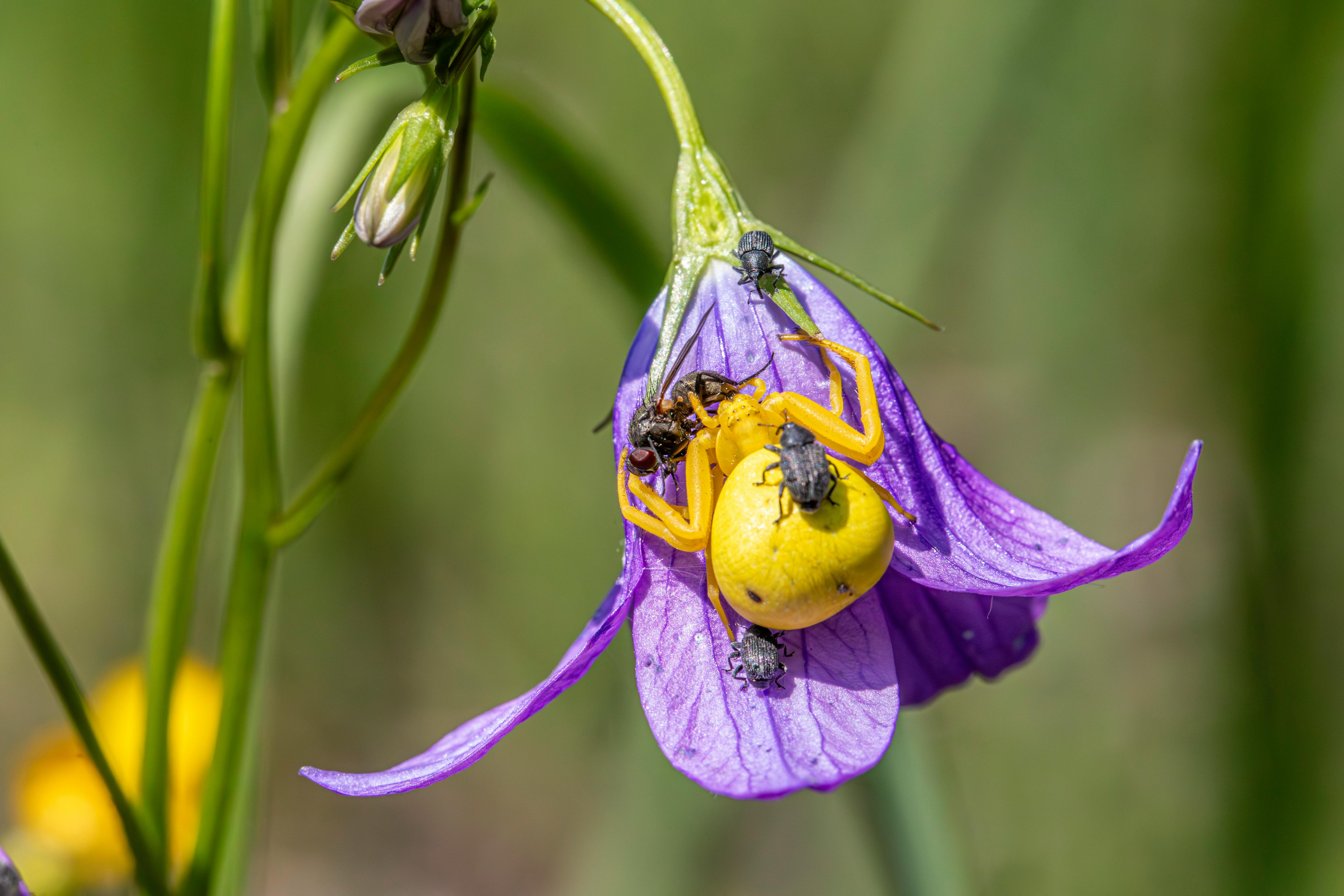 Ghost Hunting Techniques That Will Shock You