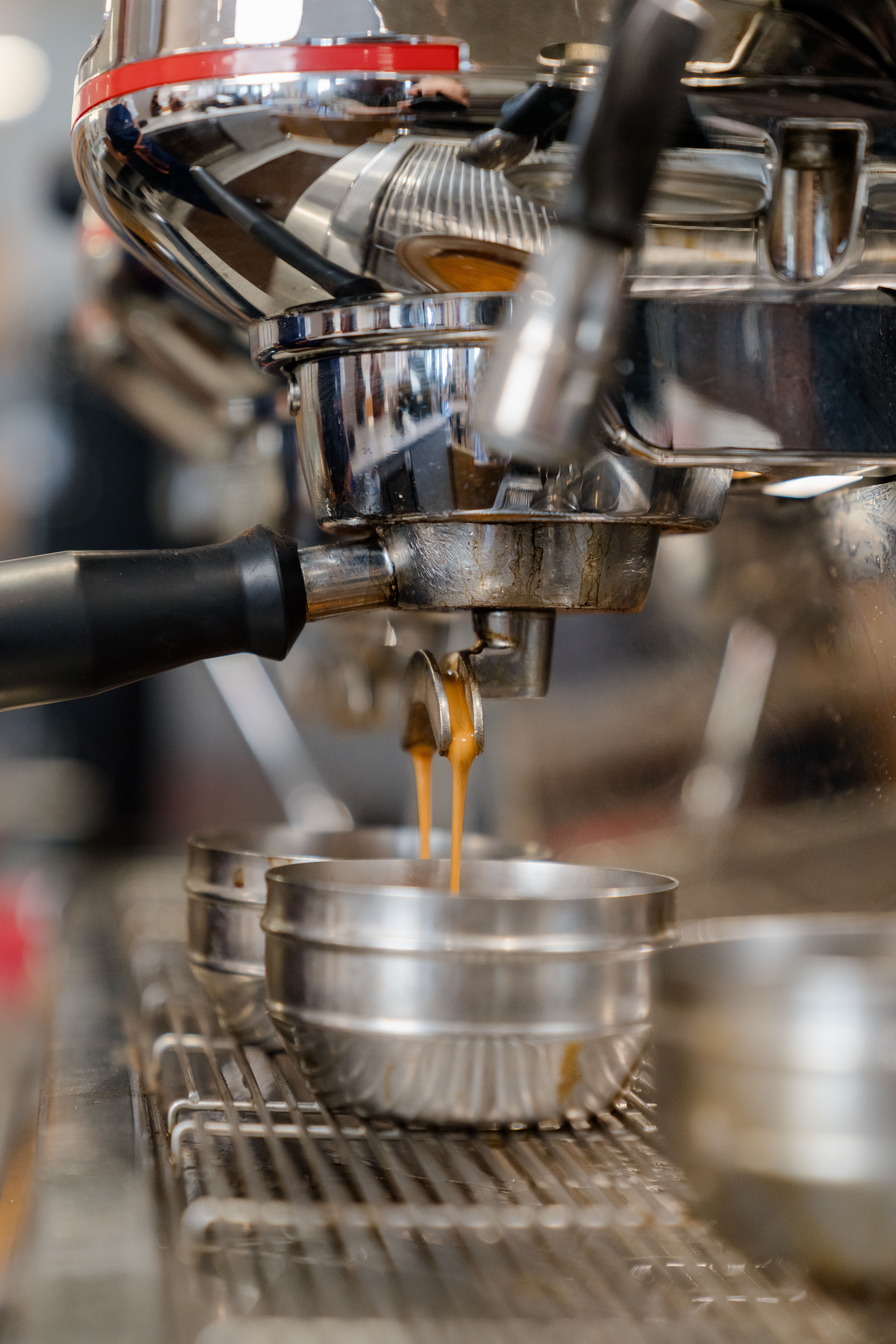 Java Kukkia Photos, Download The BEST Free Java Kukkia Stock Photos ...