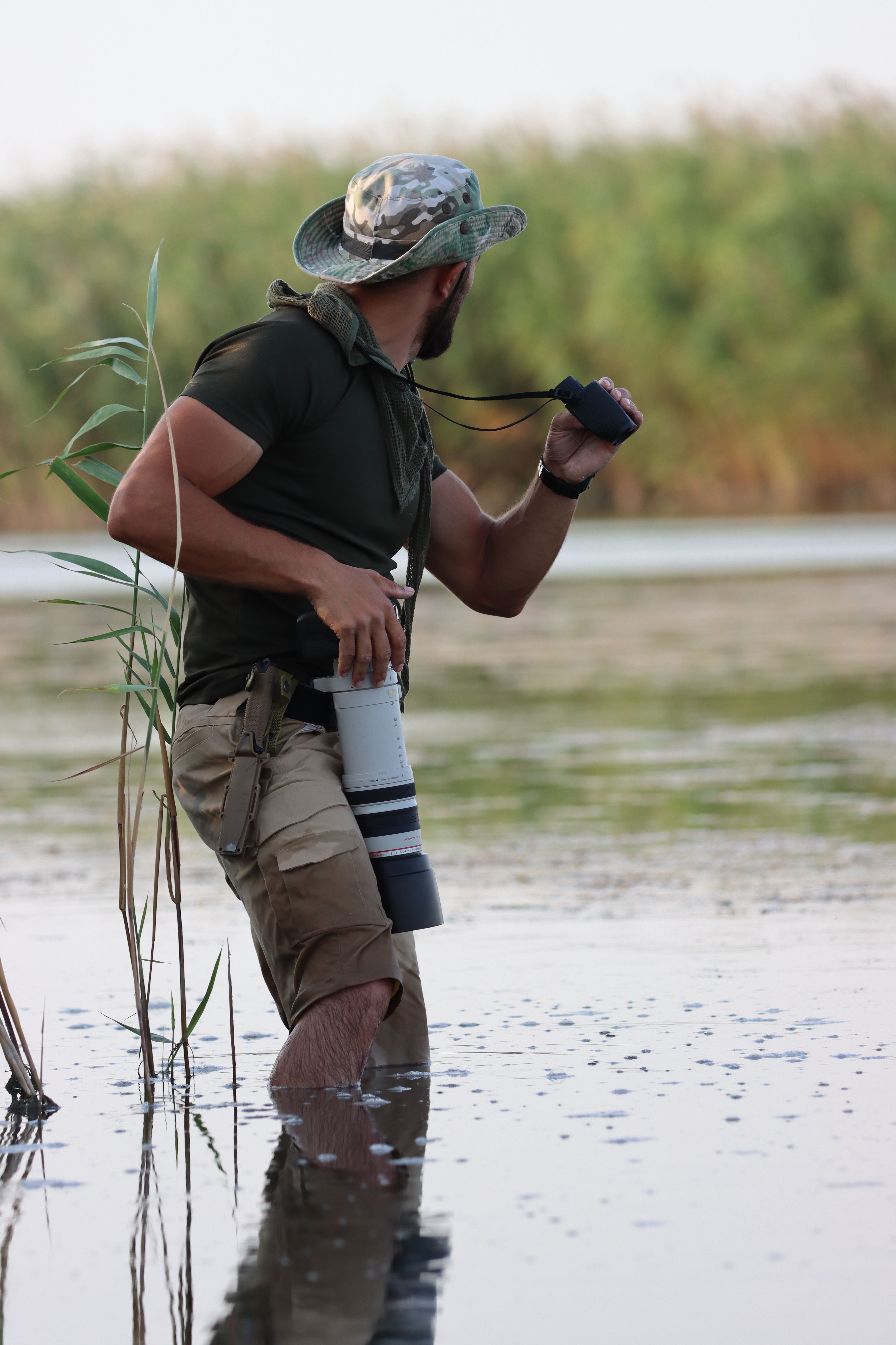 Le migliori imbracature per binocoli per birdwatching e fauna (2026) — come le imbracature riducono lo sforzo al collo?