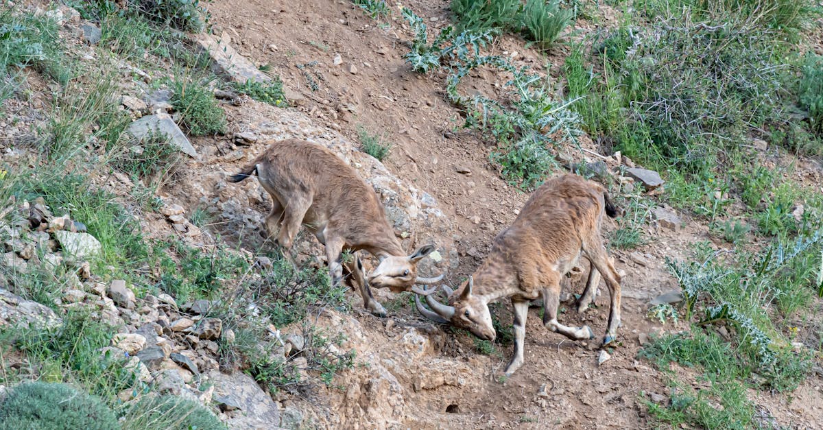 陸方點名美以色列破壞國際規範 警惕各國勿效法 以戰逼和 錯誤先例