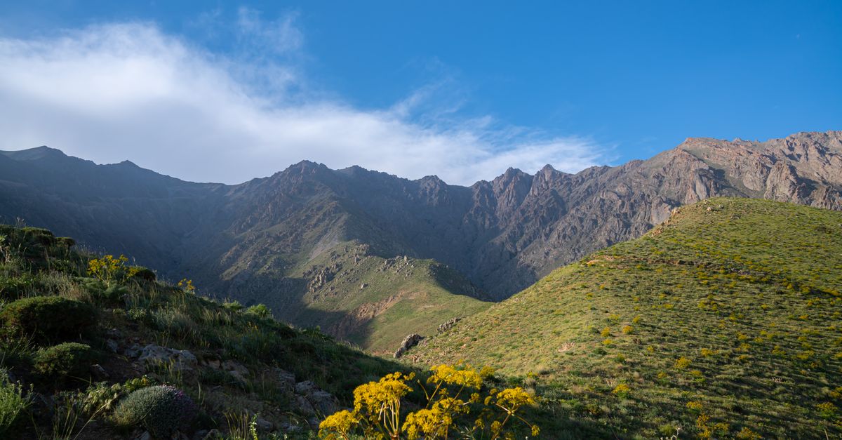 Comment choisir la région idéale pour vos expéditions nature