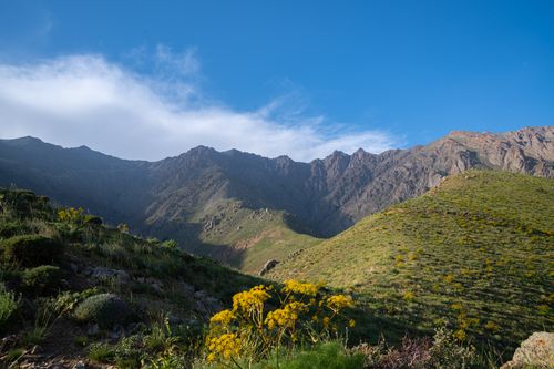 Free Scenic view of lush green hills and rugged mountains under a clear blue sky. Stock Photo
