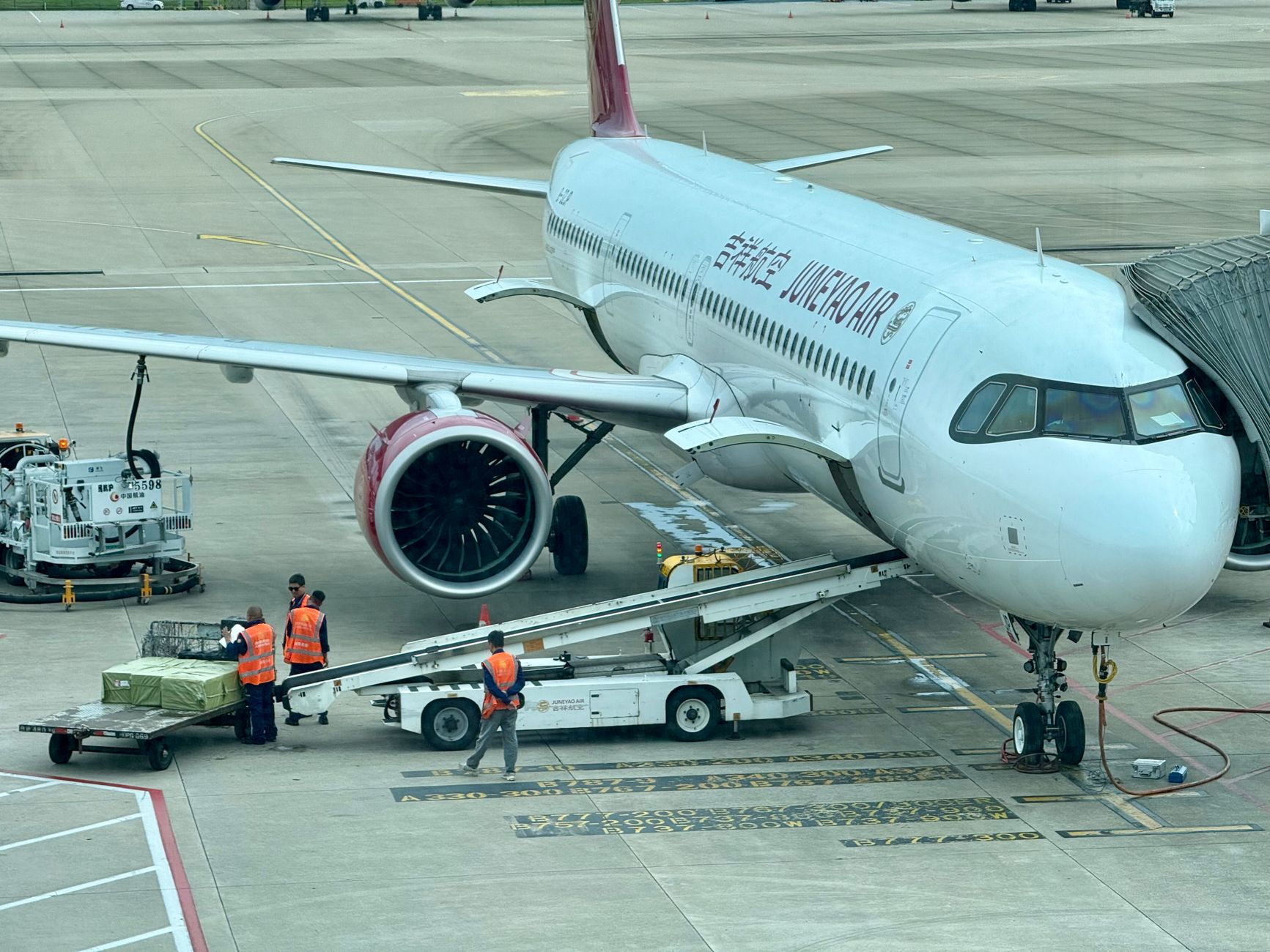 Personal de tierra organizando la logística junto al avión