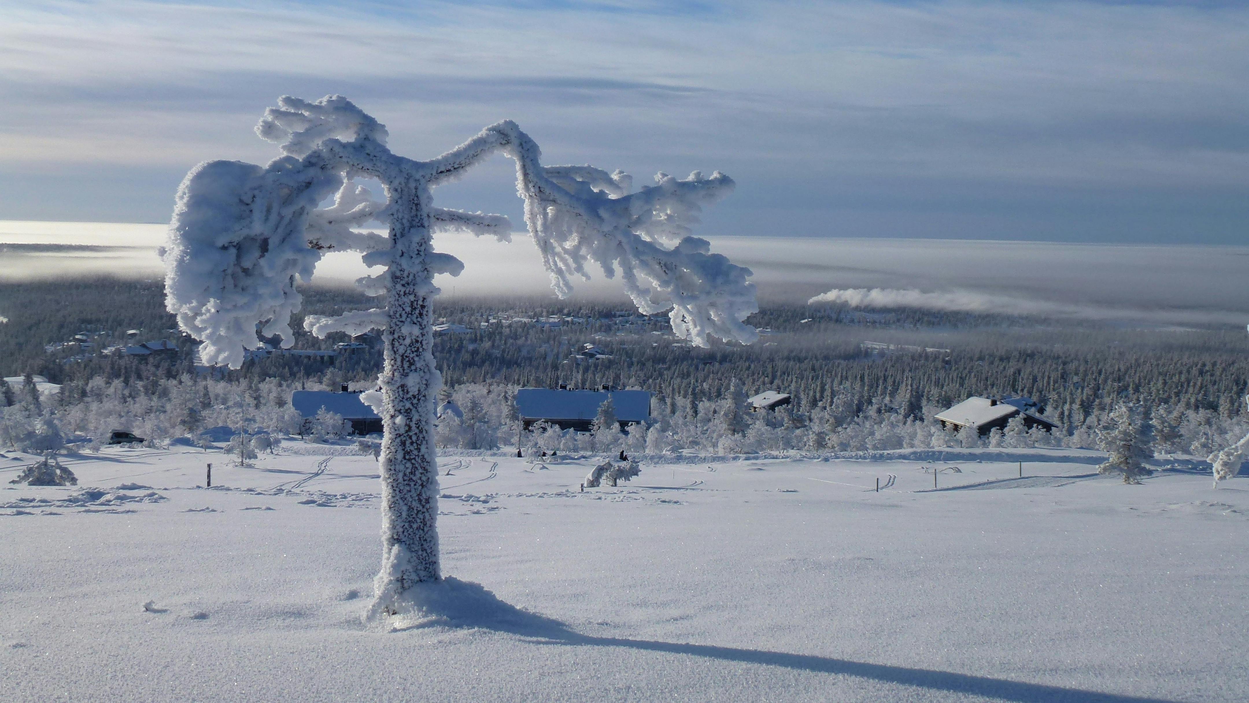 Photo of Saariselkä