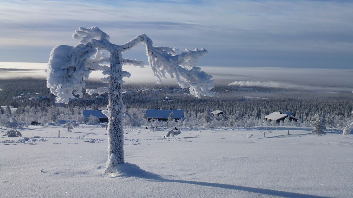 Dolu Dolu Lapland Turu Beyaz Rotalar (3 Gece - Park Hotel)