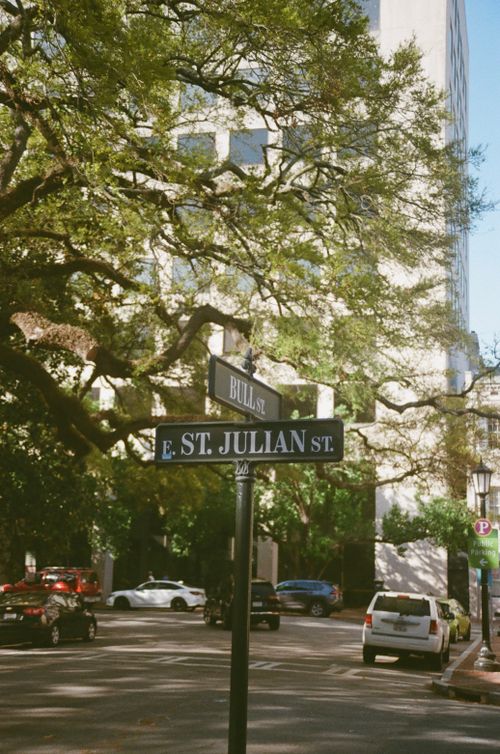 Free Scenic view of Bull St. and St. Julian St. intersection in Savannah, Georgia with lush trees overhead. Stock Photo