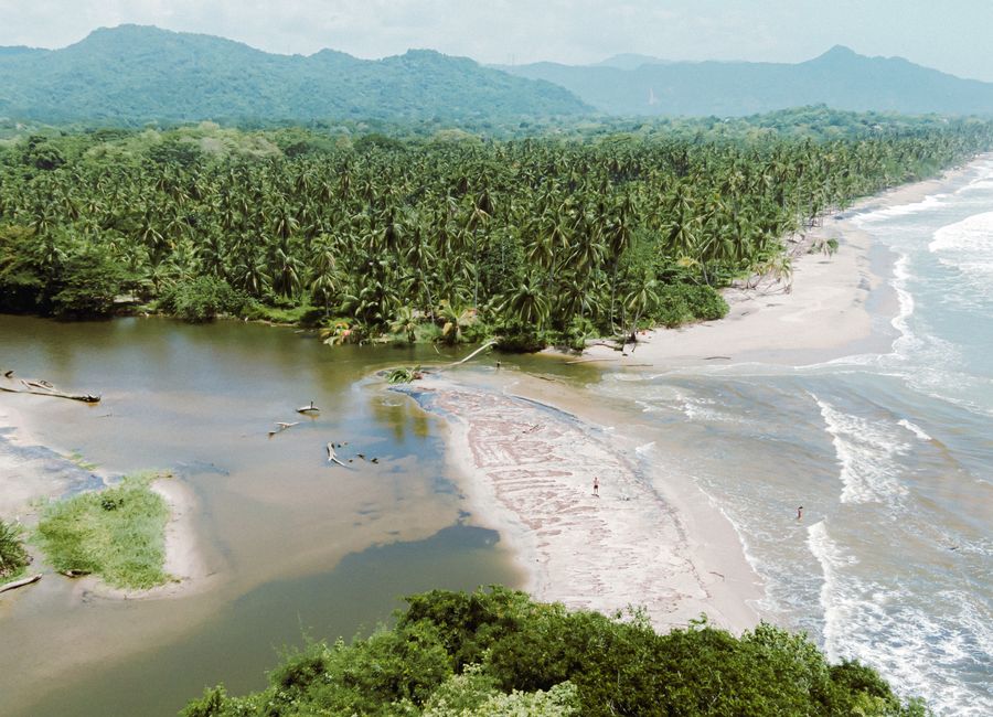 A breathtaking aerial view of Palomino Beach meeting the lush jungle and river in Magdalena, Colombia.